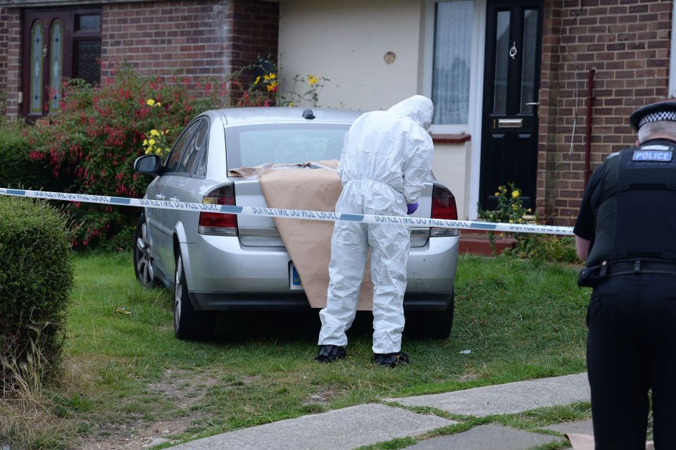 Boy killed by dog in Essex