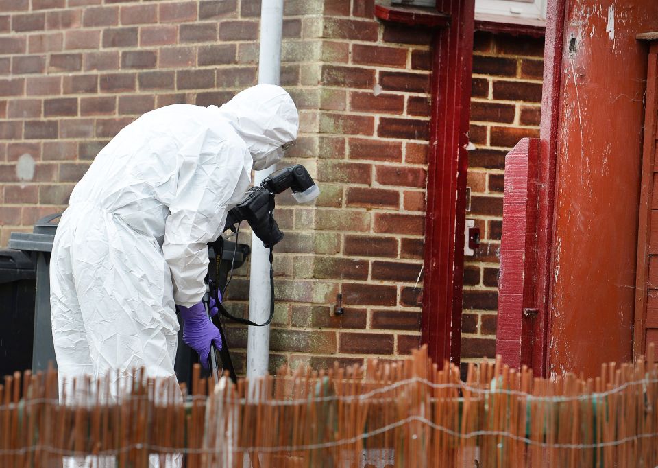 Boy killed by dog in Essex