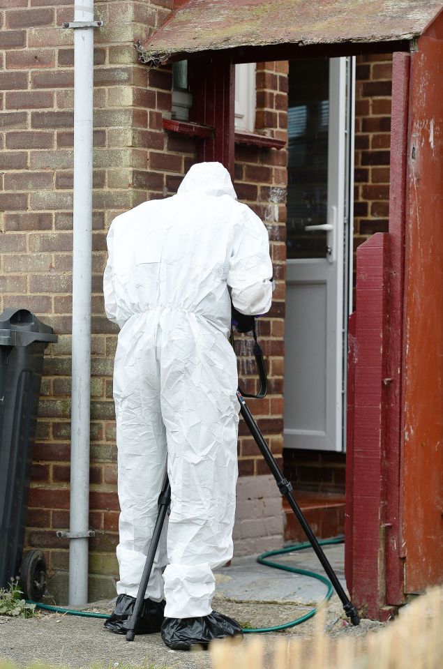 Boy killed by dog in Essex