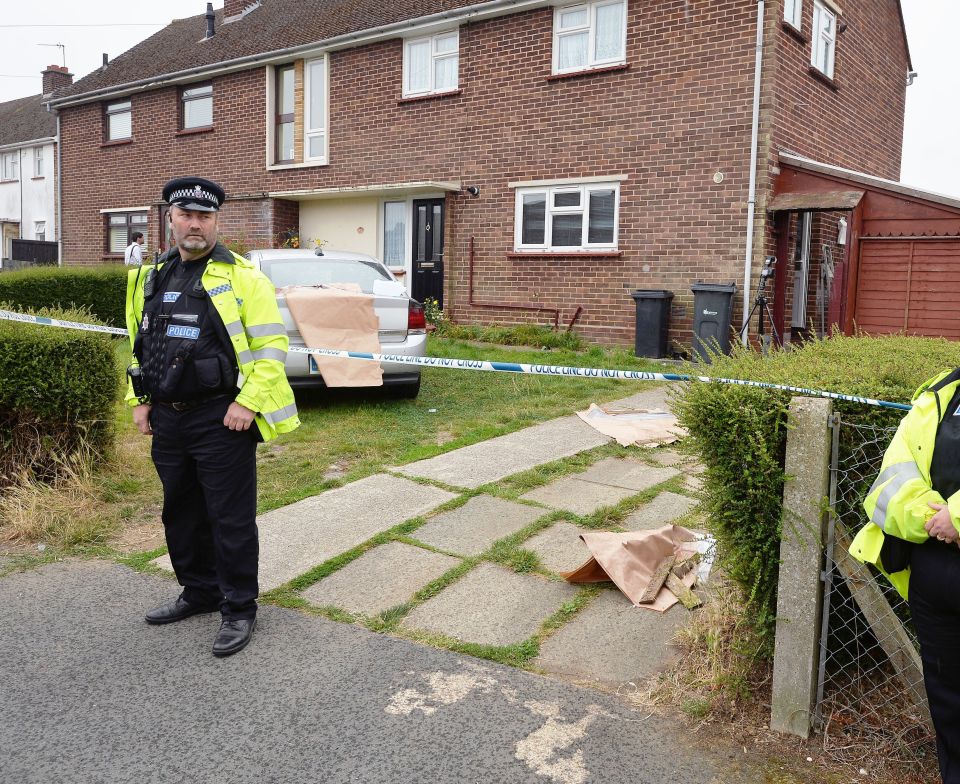 Boy killed by dog in Essex