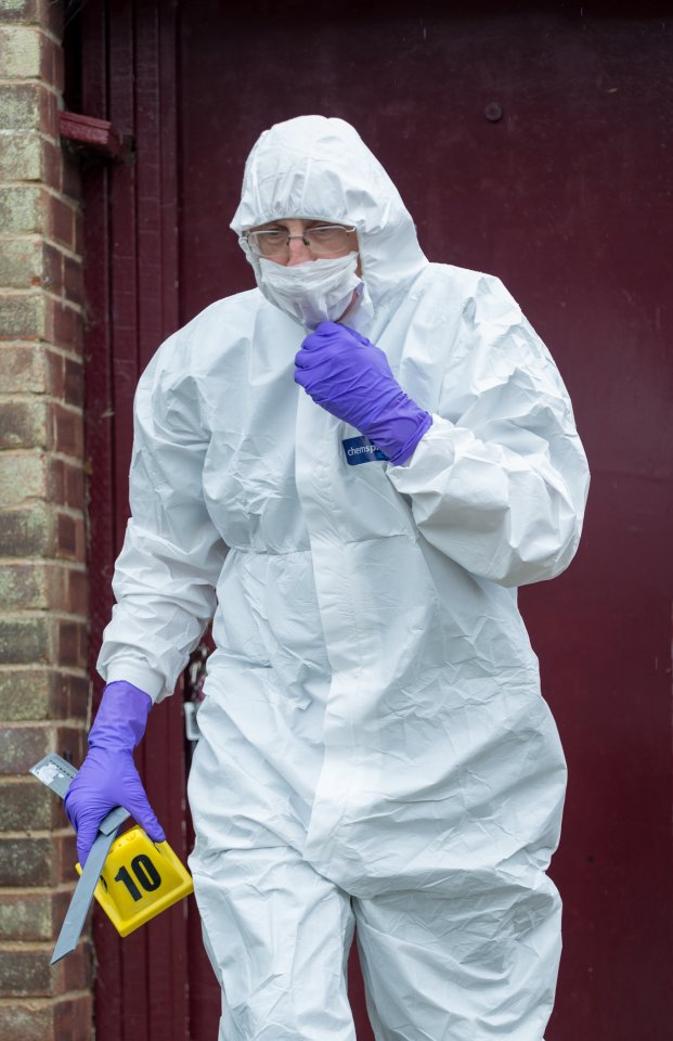 Boy killed by dog in Essex