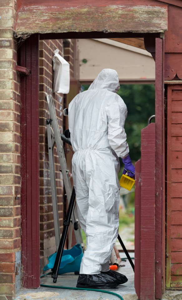 Boy killed by dog in Essex