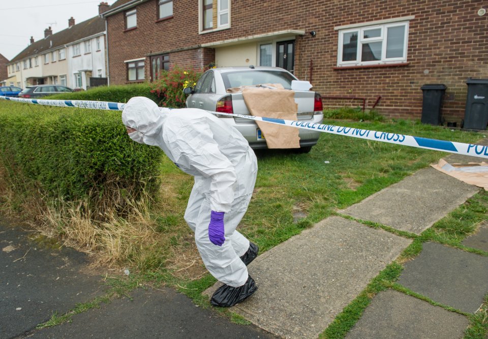 Boy killed by dog in Essex