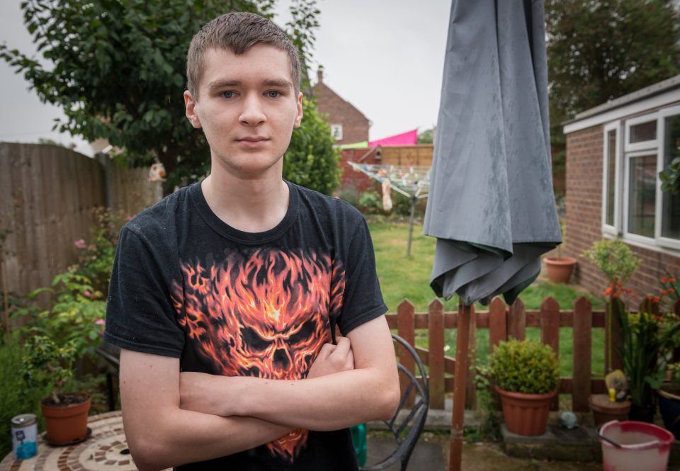 Boy killed by dog in Essex