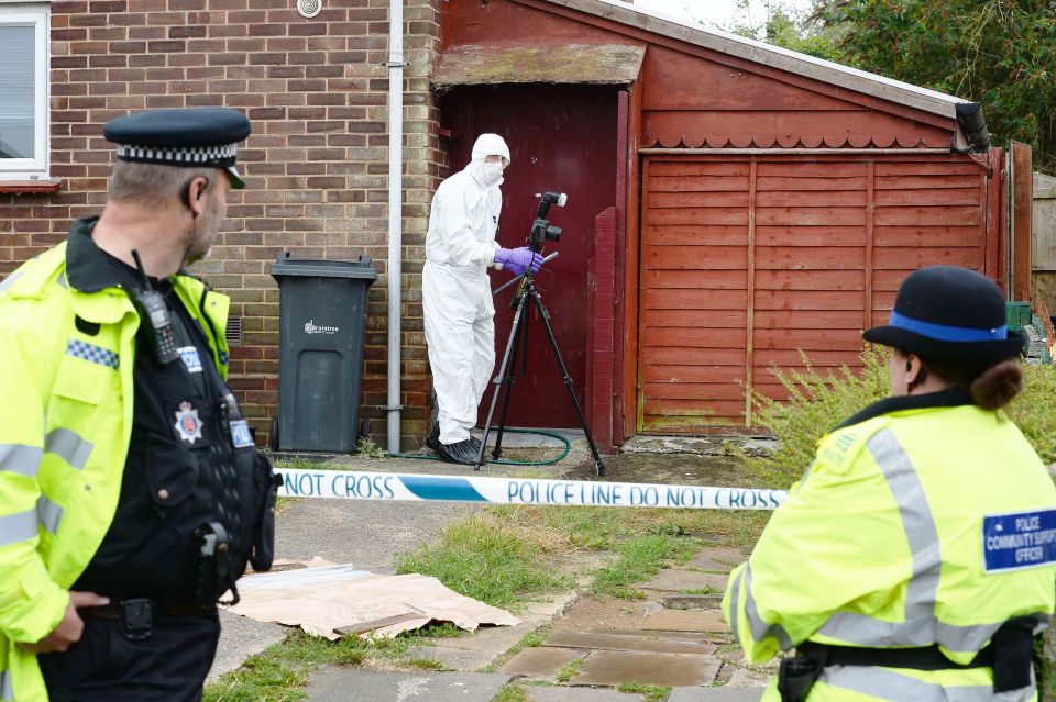 Boy killed by dog in Essex