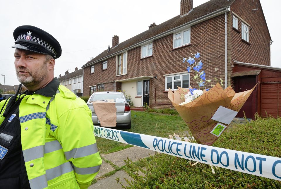 Boy killed by dog in Essex