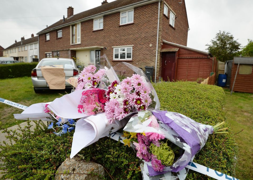 Boy killed by dog in Essex