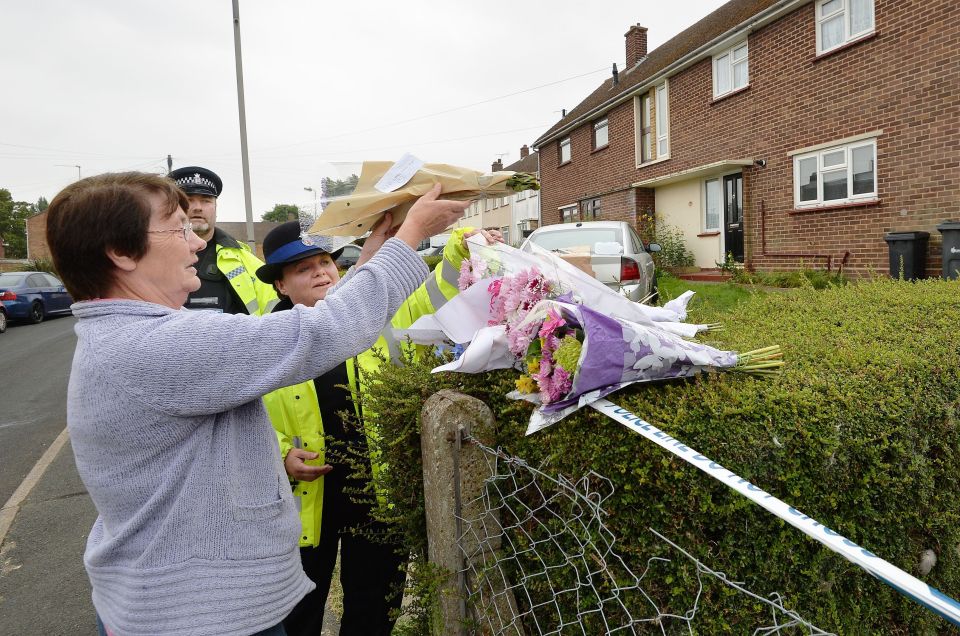 Boy killed by dog in Essex