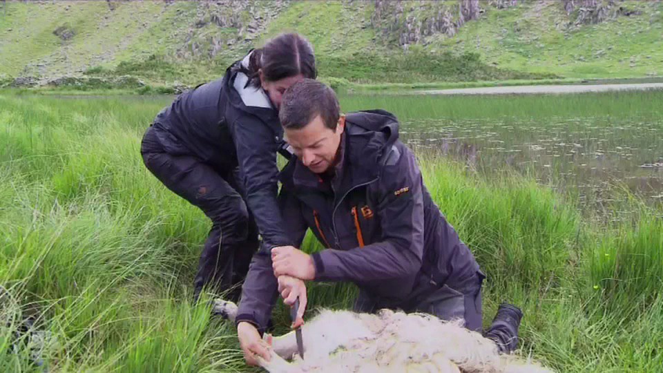 The recent show Eden was criticised for showing a sheep being cut open and an unborn lamb removed to be eaten