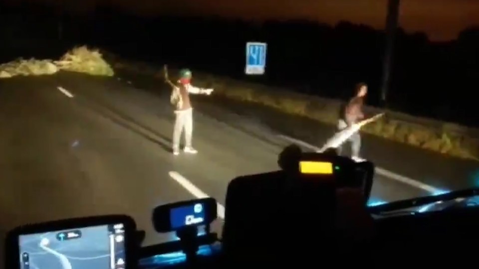 Bat-wielding Calais migrants stopped a terrified UK-bound trucker earlier this month