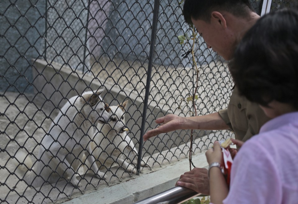Visitors feed dogs at the newly opened Central Zoo