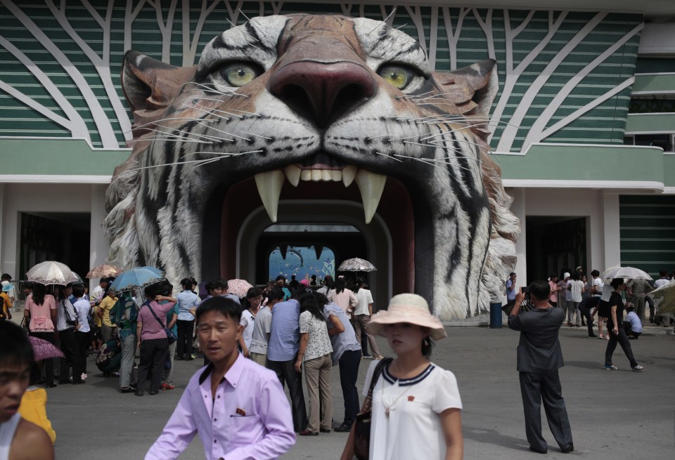 The zoo has got an wild entrance 