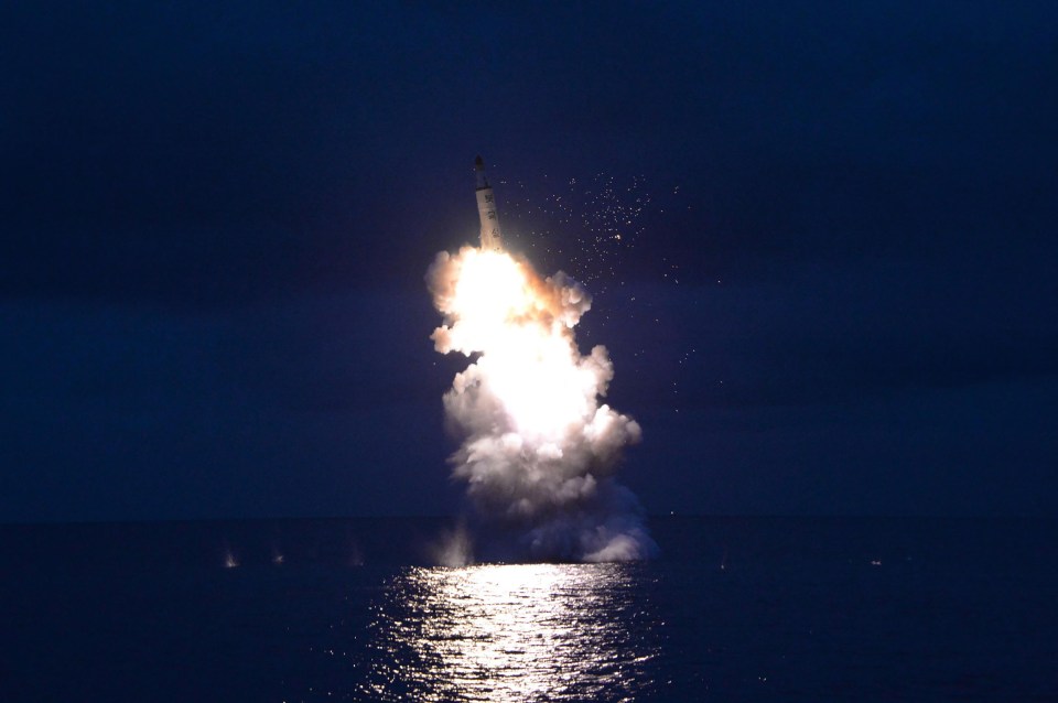 The missile flew an estimated 310 miles towards the seas around Japan 