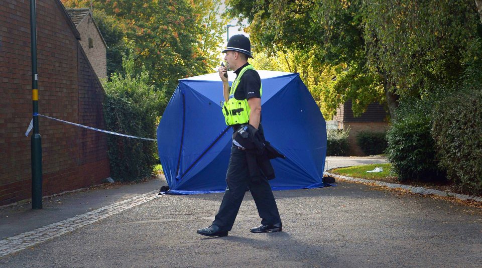 The crime scene was examined by police days after the murder in 2015