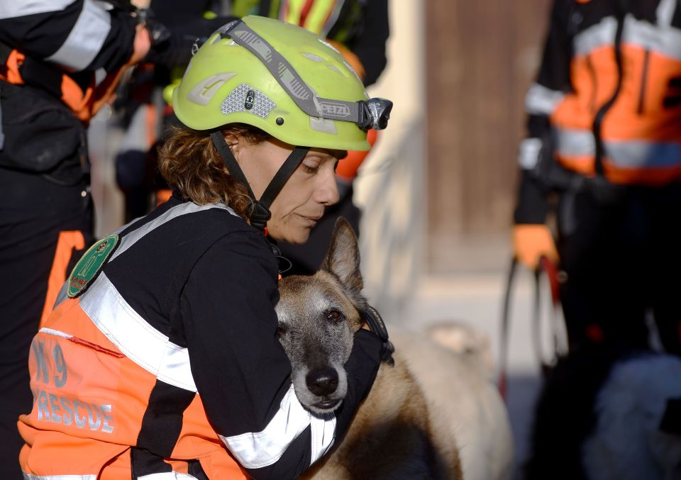 A rescuer holds a dog in Amatrice in cen