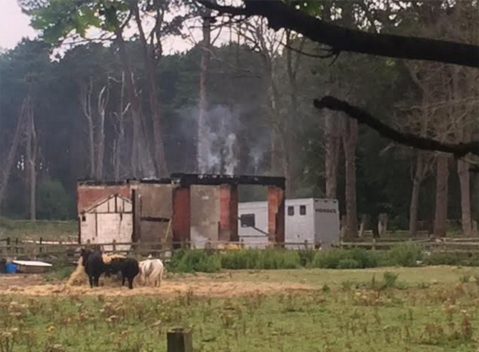 Shorrocks Hill fire