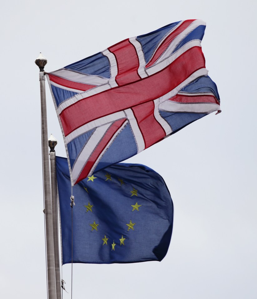 Tony Blair and MP Owen Smith are hoping to force a vote in the Commons and told Brits to accept a second referendum