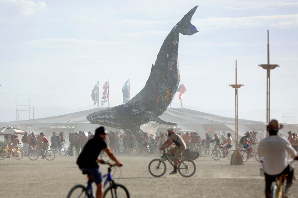 Whale of a time ... Giant sea creature dominates the desert scene