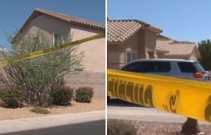 16-year-old boy arrested after police chase on suspicion of stabbing three-year-old brother to death