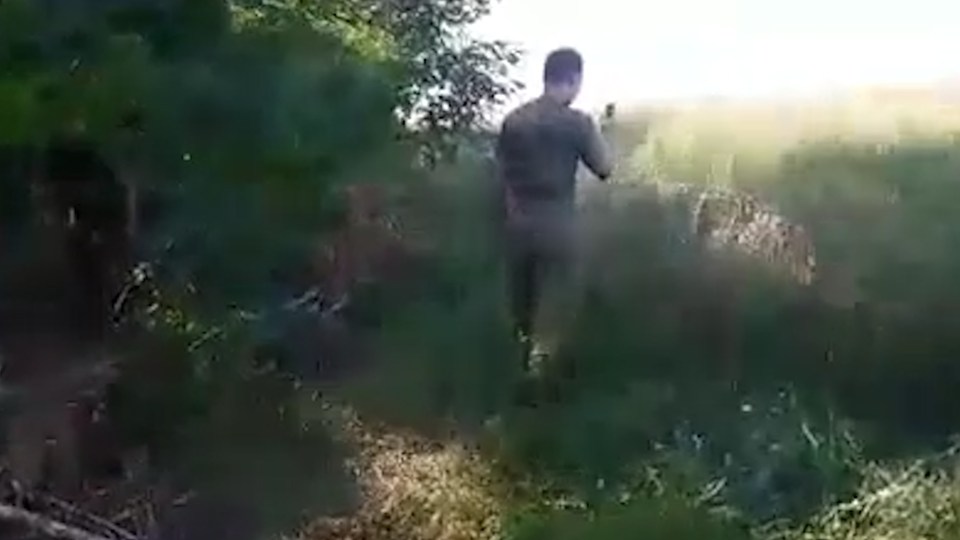 The young squaddie walks around as he hunts for a rare Pokemon, later admitting he has found Pikachu