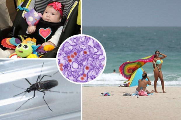 composite zika virus