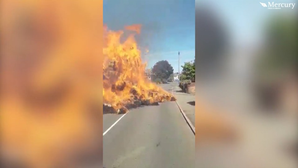 Firefighters arrived on the scene 11 minutes after receiving a call and extinguished the blaze