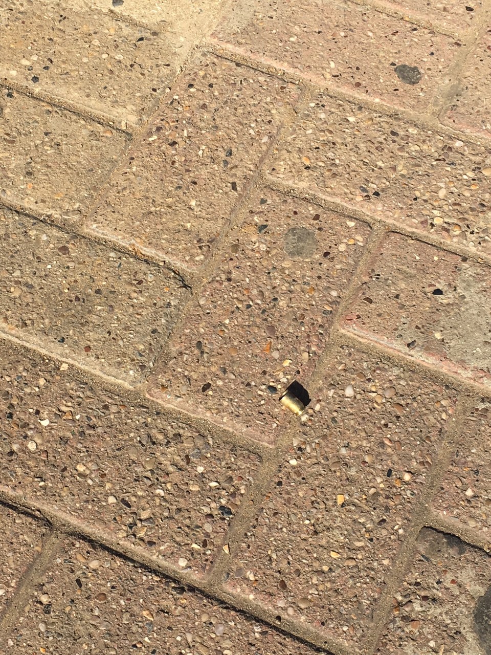 Shell casings could be seen on the pavement after shots were reported to have been heard