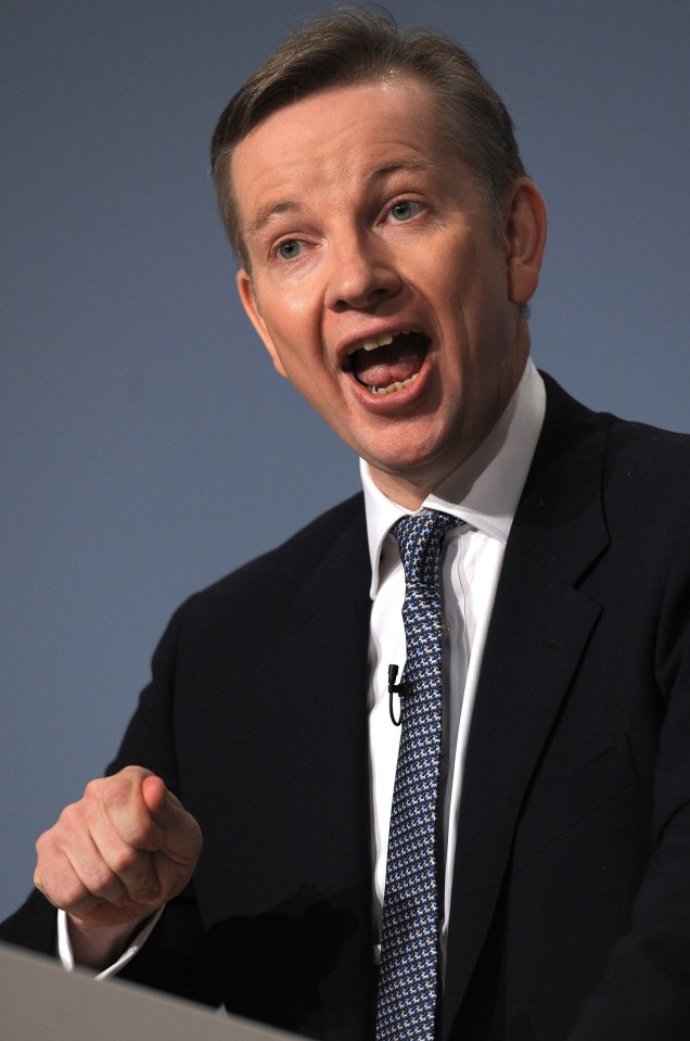  Micheal Gove