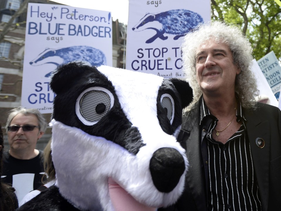 Thanks to celebs like Brian May, badgers will continue to disturb the dead
