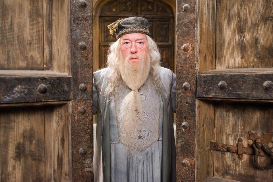The author was quick to quash any claims of similarity between Professor Dumbledore and Jezza