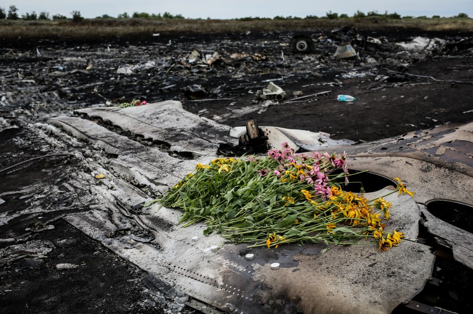 Malaysia Airlines MH17: "I saw human bodies rain from the sky"