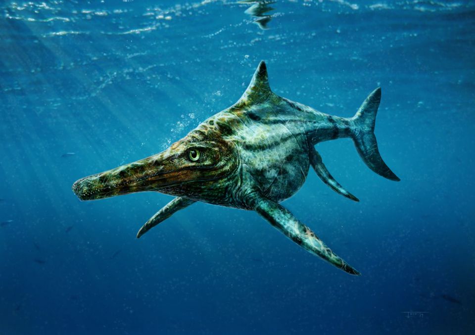 Nessie's long-lost relative found