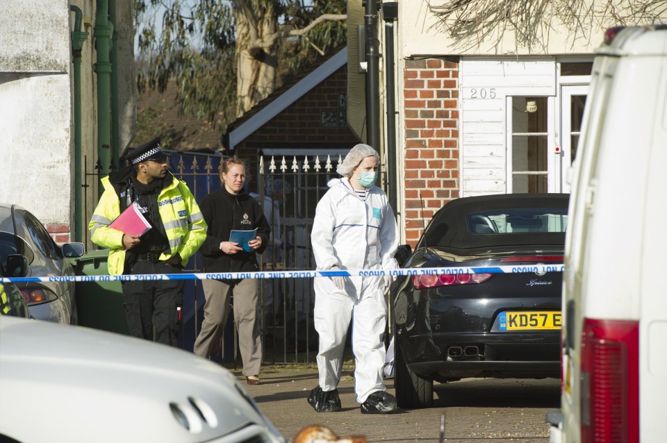 Mother's brutally murdered corpse found in garden