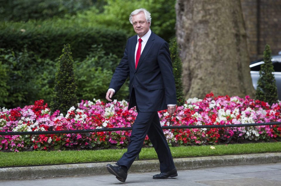 David Davis