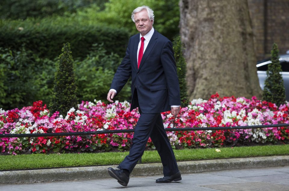 Tough negotiator . . . David Davis is ready for battle in Brussels