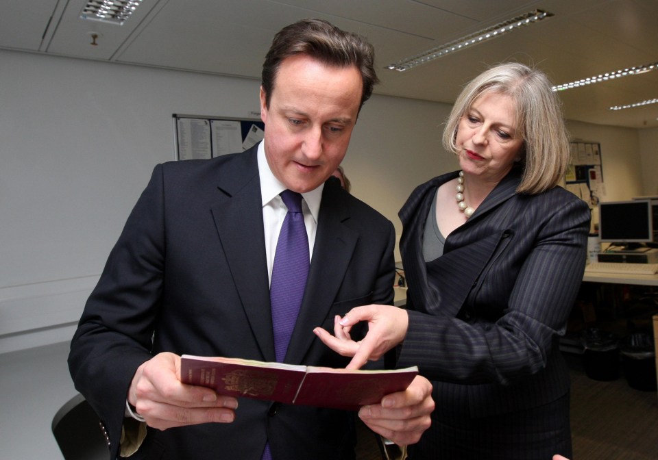 All David could see ahead was speculation about his level of agreement with Theresa May on key issues - so he did the right thing and stepped down