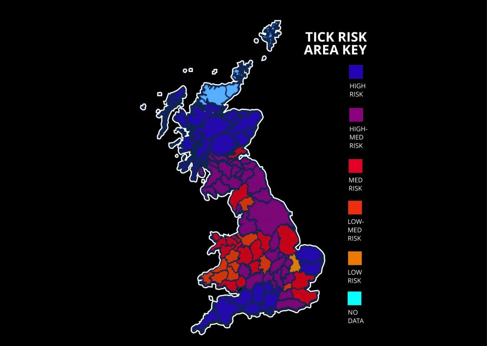 Ticks on dogs doubled