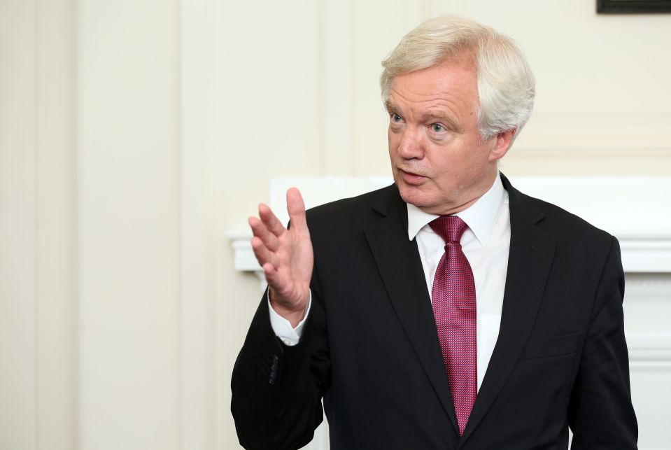 Davis also reaffirmed that there will be no “hard” border with Ireland after fears of tighter restrictions
