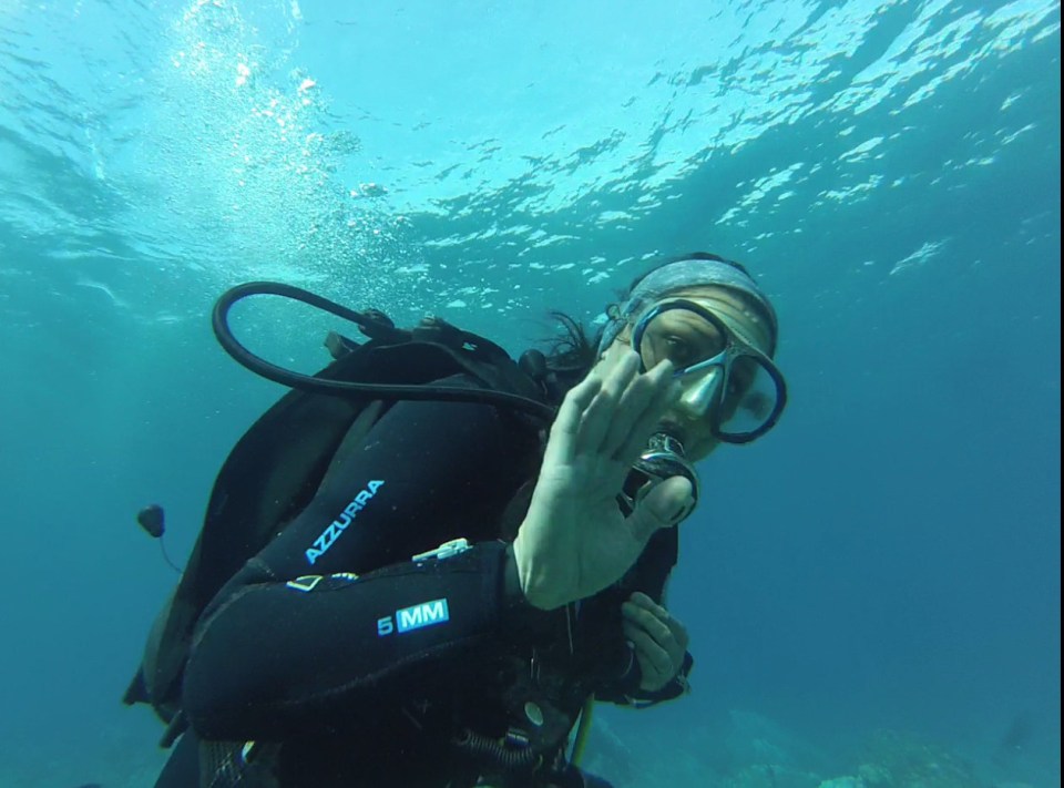 The couple had been diving off the coast of Mauritius with Julie, pictured, the day before being stranded 