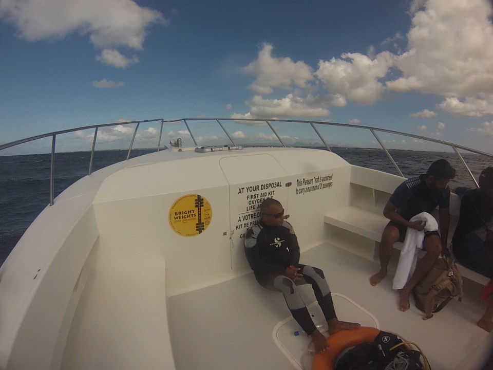 Divers on their way to the site with the dive company now suspended indefinitely 