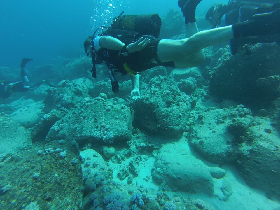 Julie, pictured diving the day before the harrowing experience, said the group had thought they were going to die