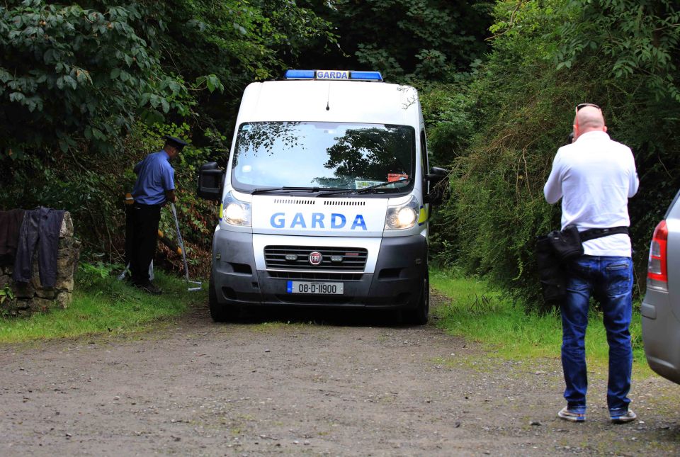 Police forensic units investigated the scene in County Kildare over the weekend 