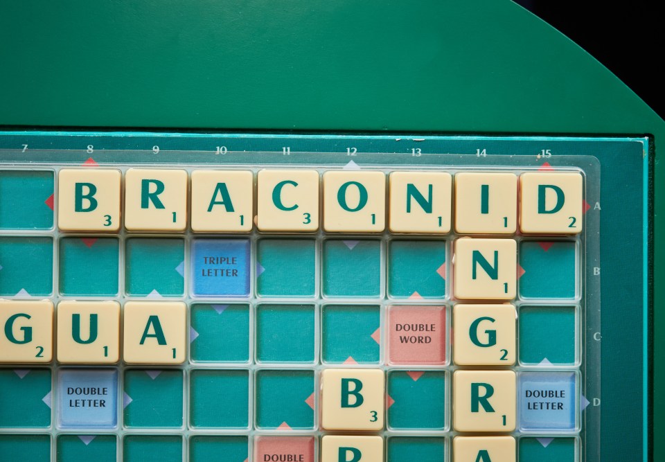 2016 World Scrabble Championship Final at Grand Palais, Lille, France.
