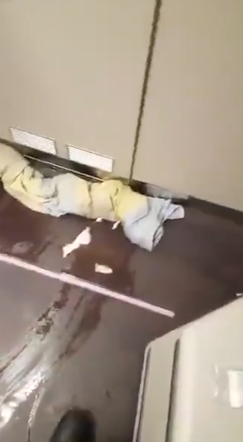 Disgusting clip shows door to flooding loo was blocked with a soaking wet towel