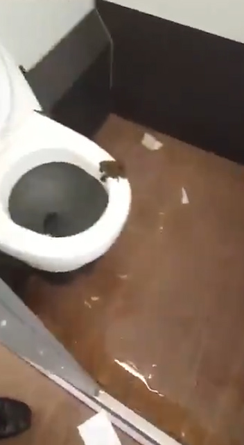 Gross footage shows soiled toilet seat and flooded floor on Saudi Airlines plane
