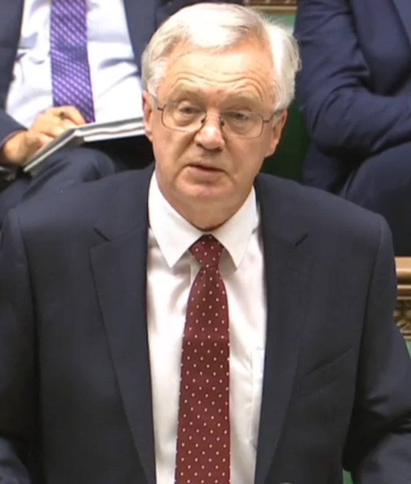 Brexit Secretary David Davis believes "much of the doom and gloom and fear mongering has been proven to be wrong”