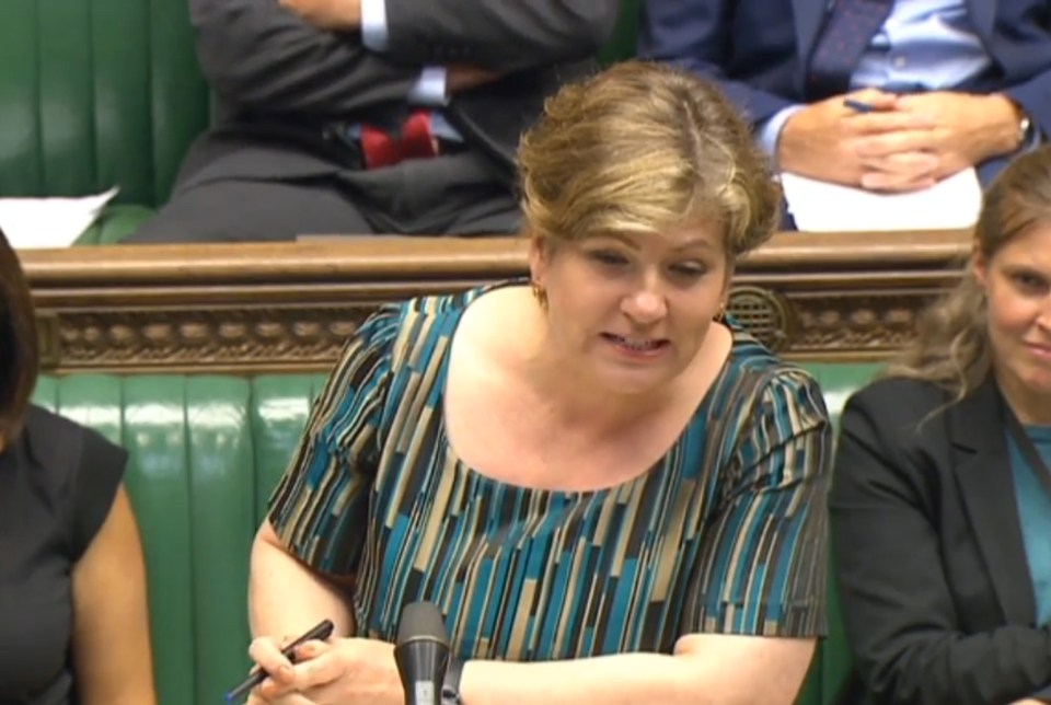Shadow Brexit Secretary Emily Thornberry said Davis made "empty platitudes"