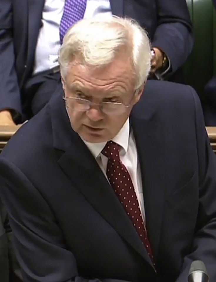 The veteran Eurosceptic told the Commons Britain would probably opt out of the single market