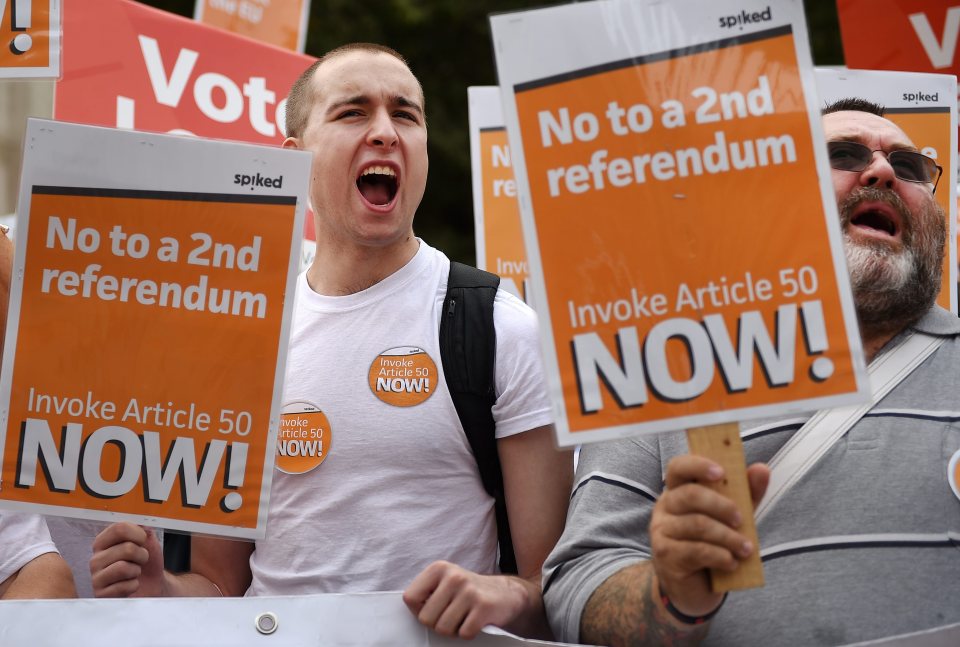 Pro-Brexit supporters outside Parliament
