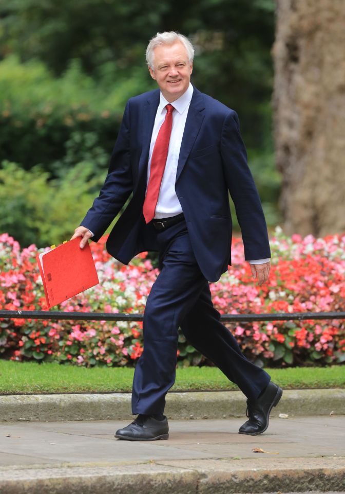 Brexit Secretary David Davis